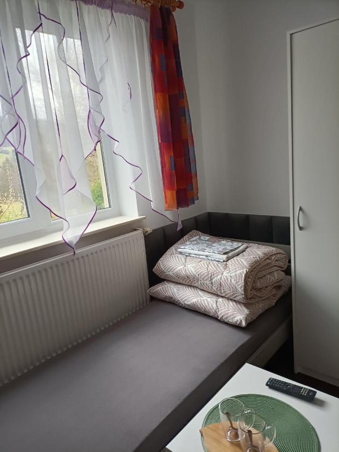 Jasionka 2 Apartment Ustrzyki Dolne Luaran gambar